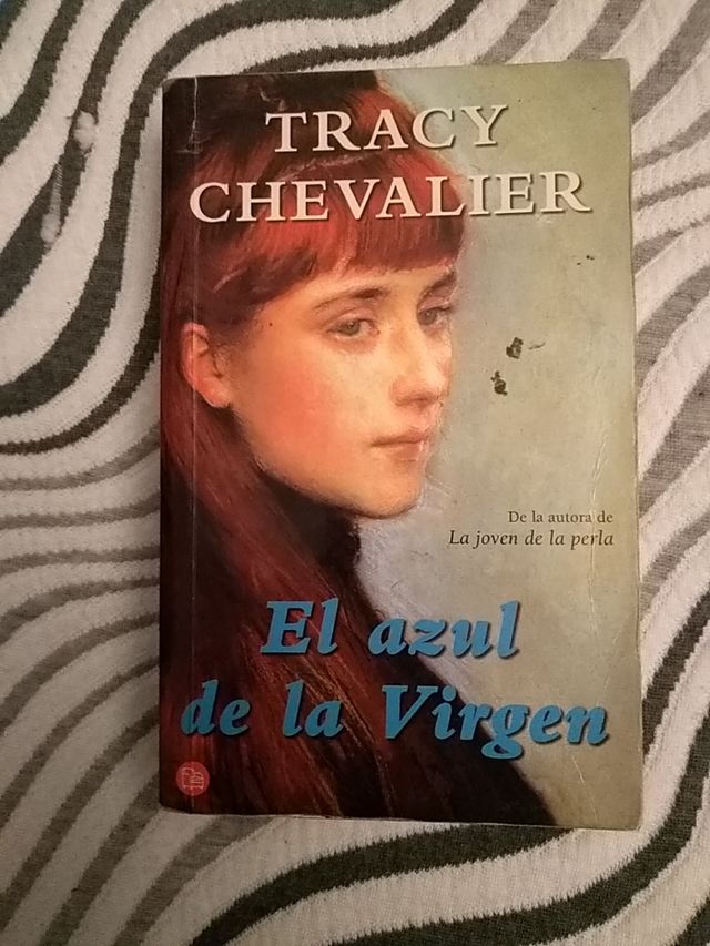 novela el azul de la virgen
