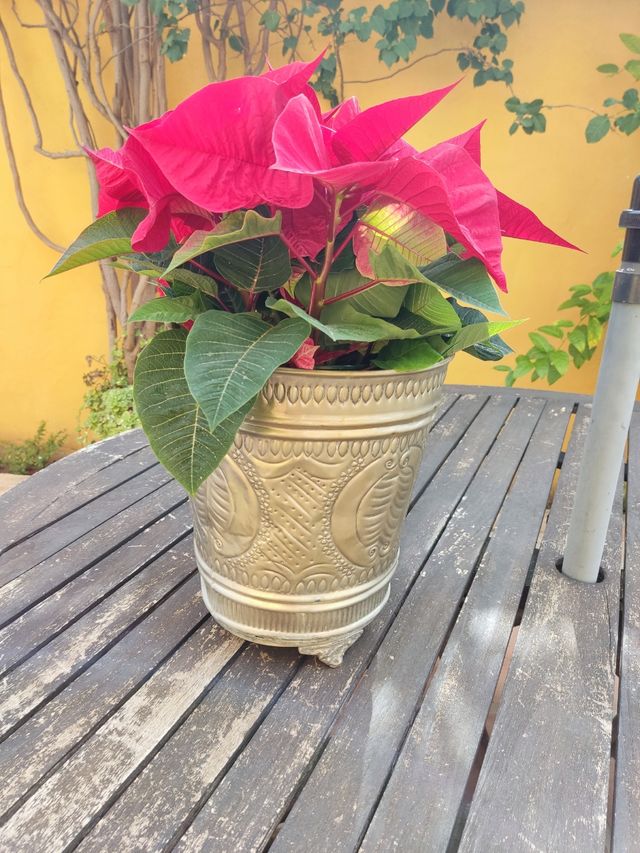 Cubo de metal y hierro labrado.