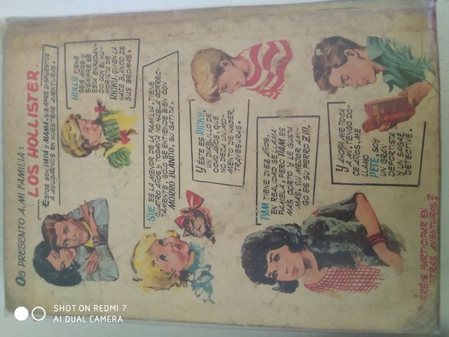 LOTE 2 libros HOLLISTER  año 1966 y 1970