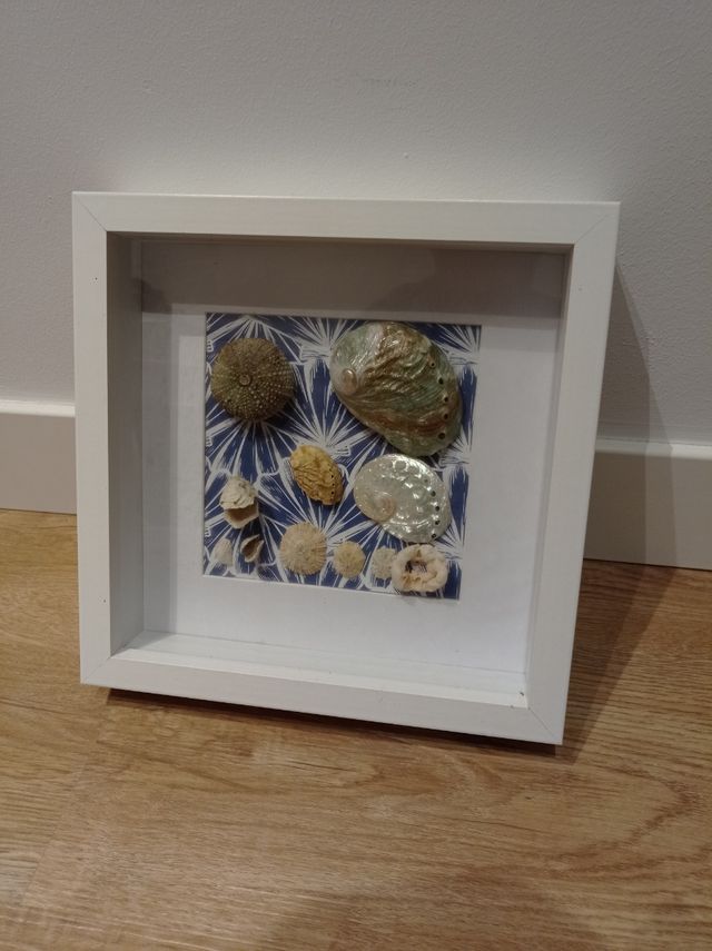 Cuadro caracolas N-2