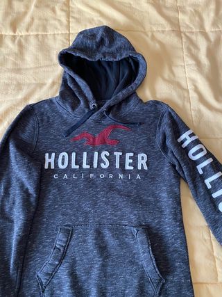 Sudadera Hollister gris de segunda mano por 24 EUR en Valencia en WALLAPOP