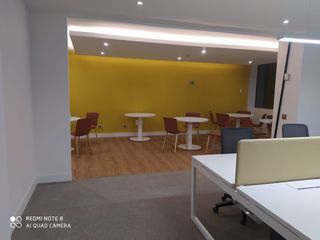 Pintor económico, Pladur, escayola, falso techo