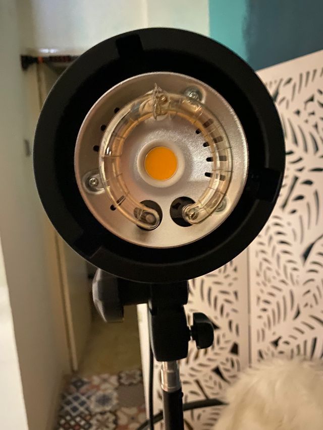 Kit de flash pro estudio fotografía