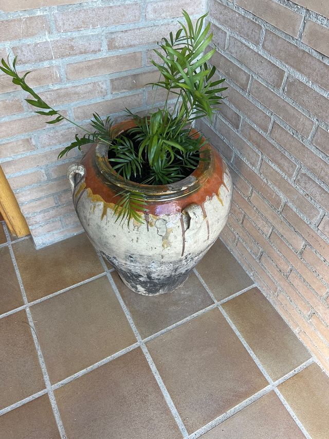 Tinaja antigua de aceite