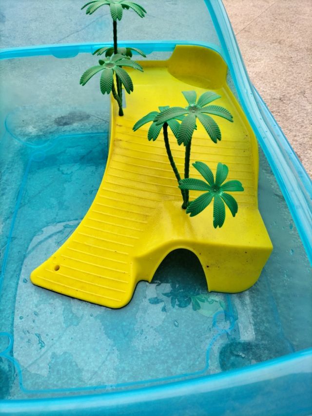 pecera para tortuga