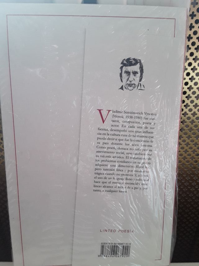 Zona desmilitarizada. Vladimir Vysotski