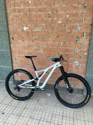 Specialized stumpjumper comp alloy 29 