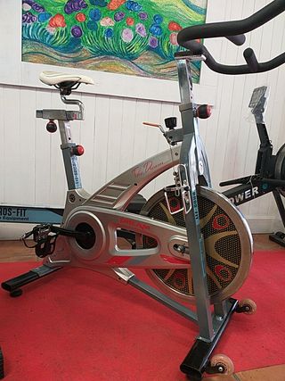 Bicicleta de spinning de gimnasio de segunda mano en Altea en WALLAPOP