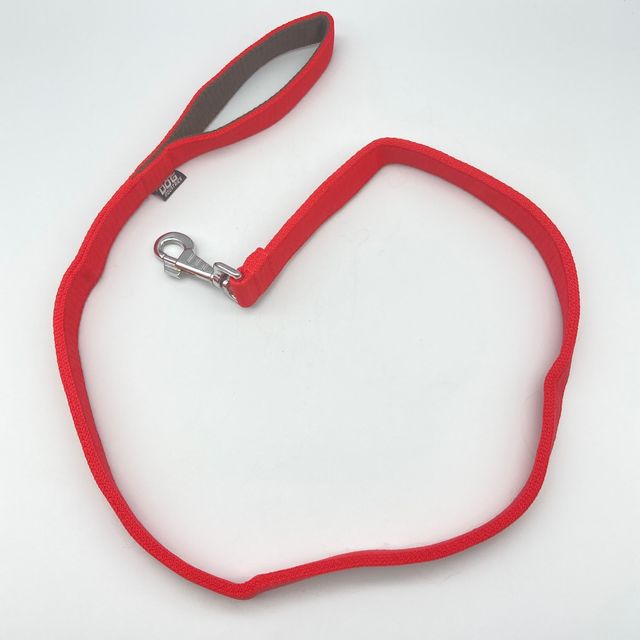 Correa de Alta Resistencia para Perro