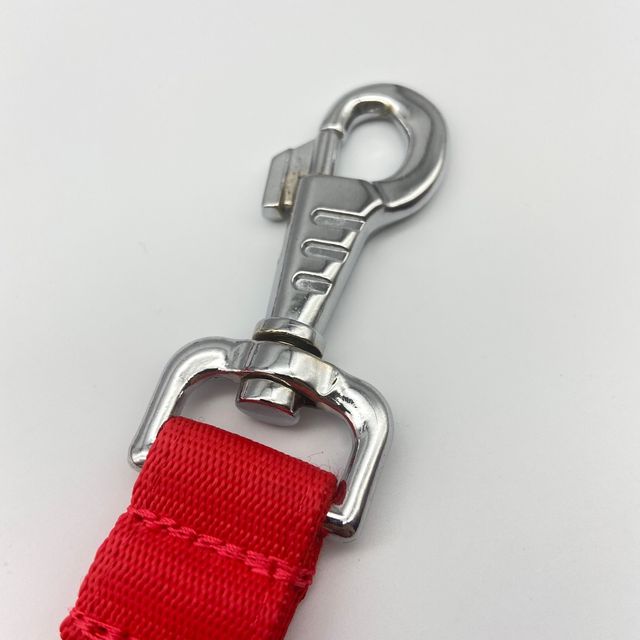 Correa de Alta Resistencia para Perro