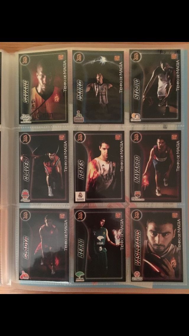 ACB 2009-2010 card (Panini)
