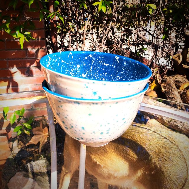 Pareja de cuencos de ramen/ensaladera