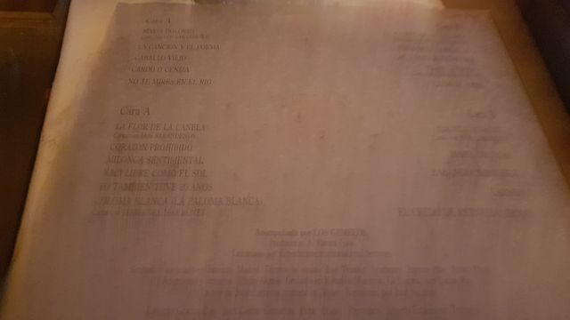 vinilos maria dolores pradera