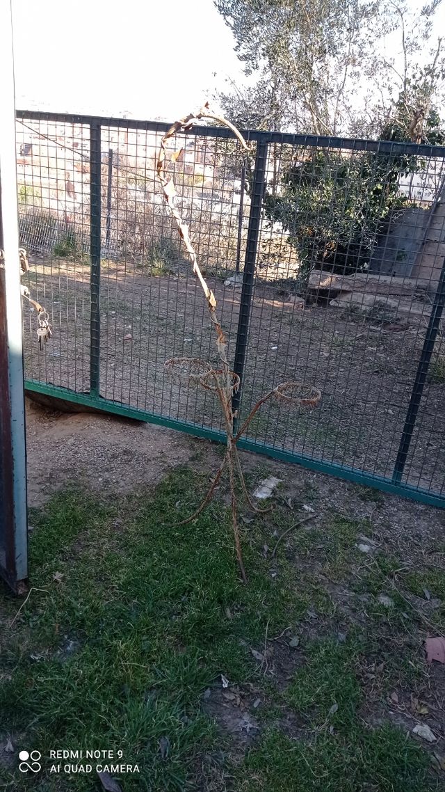 Colgador de macetas vintage