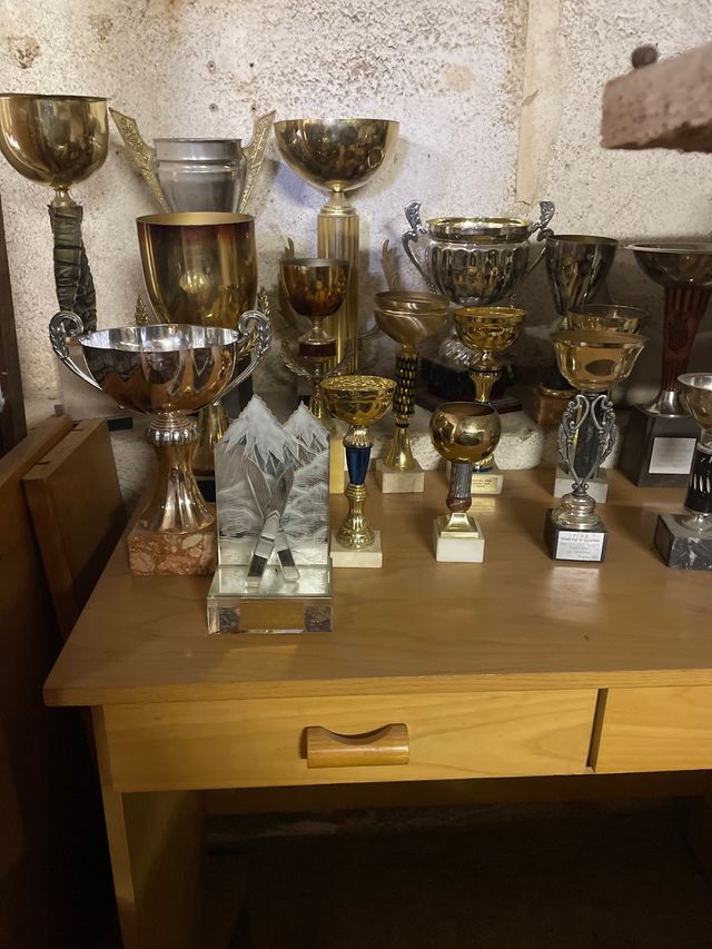 Copas varios deportes