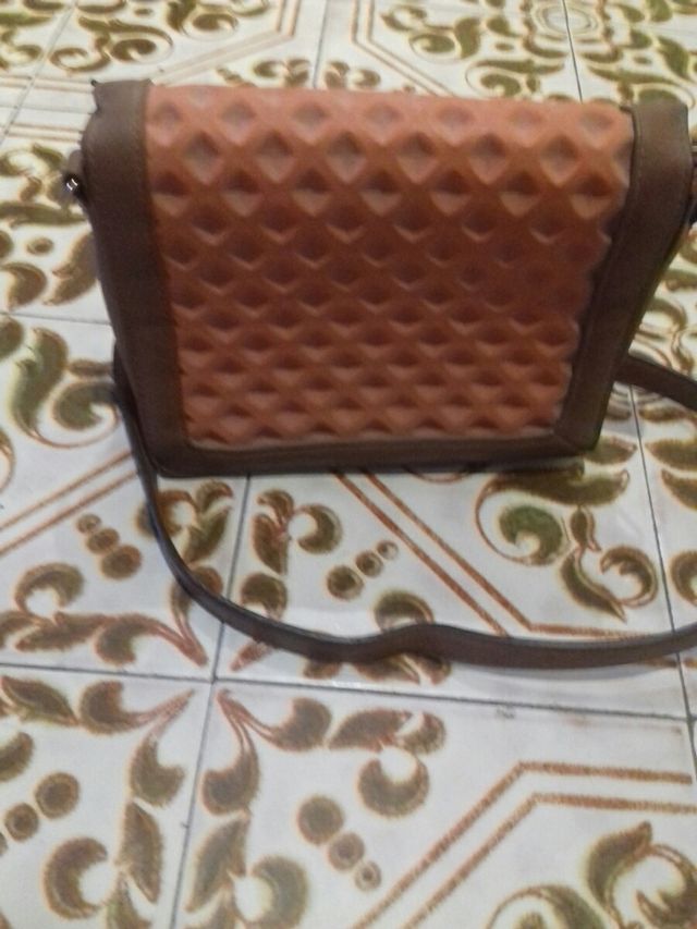 bolso