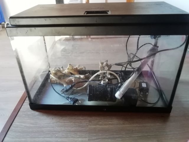 Aquariu de agua caliente 