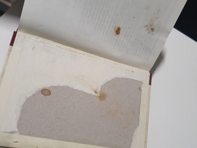 Los Pilares de la Tierra