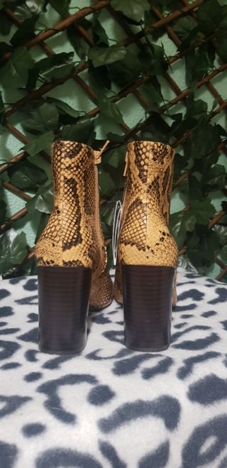 Botín animal print talla 38 Mango de segunda mano por 15,99 EUR en San  Fernando en WALLAPOP