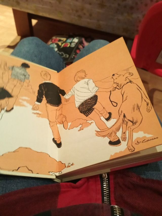 libro de los cinco. Los cinco se divierten