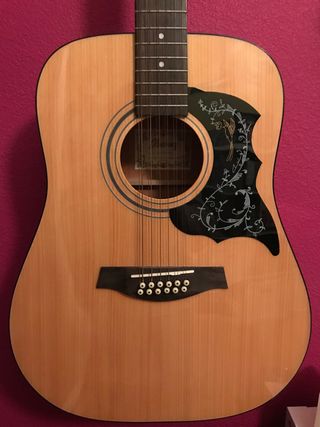 Guitarra acústica 12 cuerdas de segunda mano por 190 EUR en Aranda de Duero  en WALLAPOP