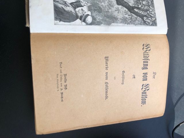 Libros en alemán Der Wildfang von Wulkow