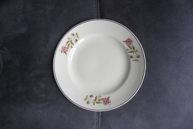 Plato de porcelana fina Princess
