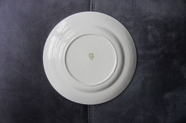 Plato de porcelana fina Princess