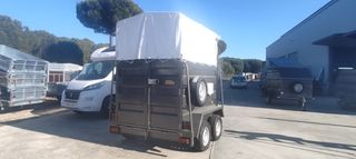 VAN CABALLOS/VACAS‼️