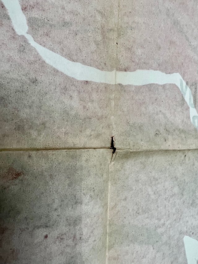 L'uomo invisibile