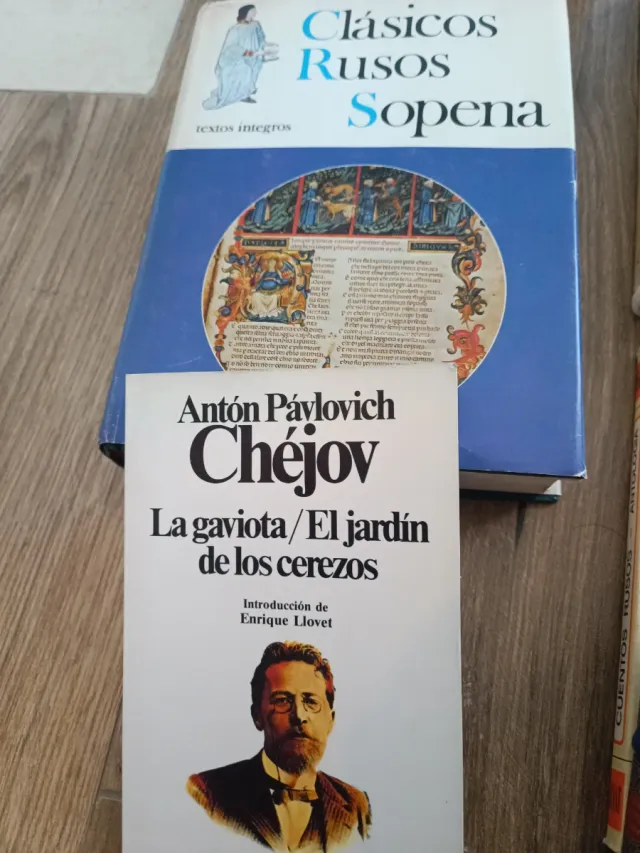 Libros de literatura rusa
