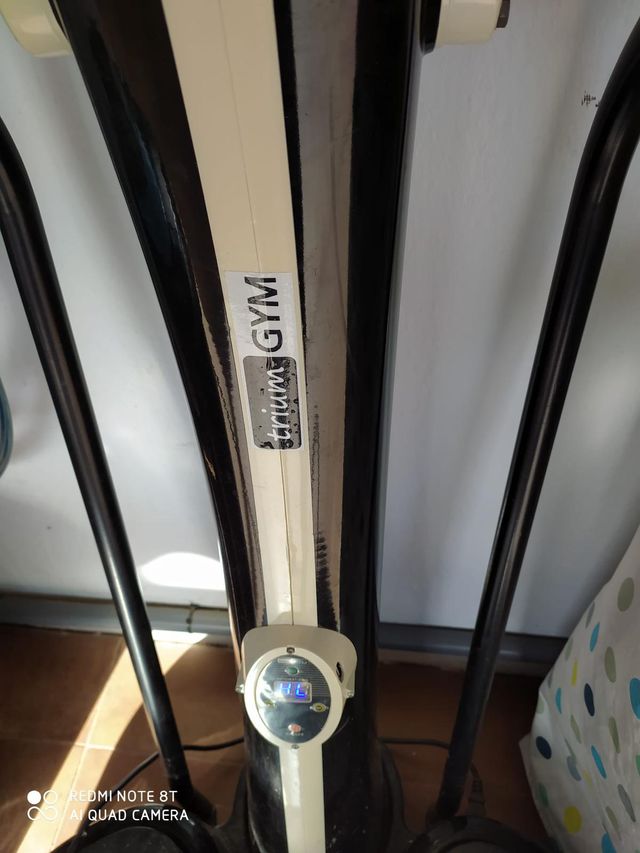 Plataforma vibratoria