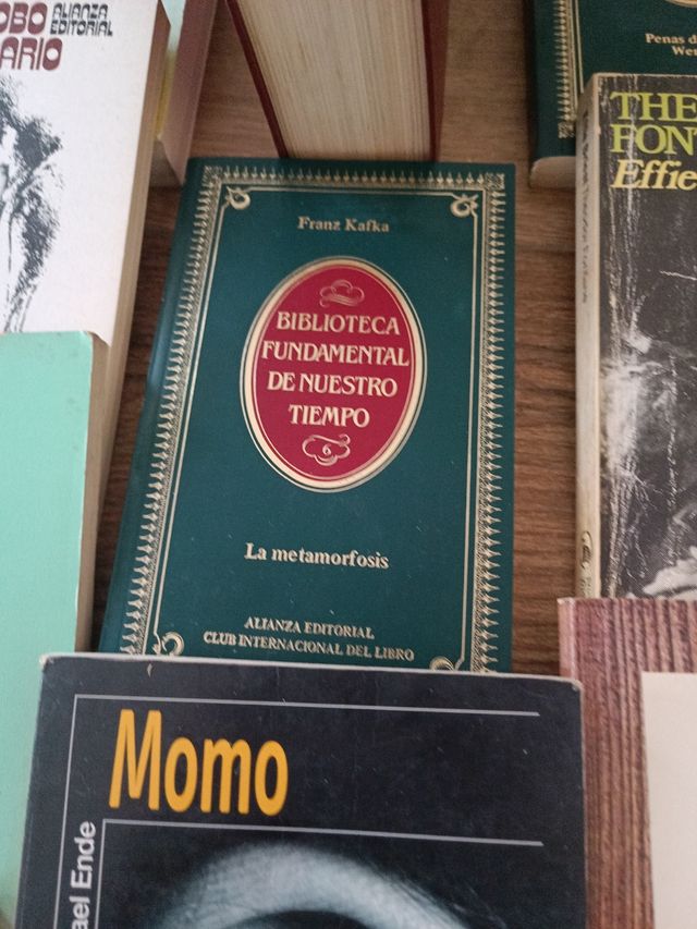 Libri di letteratura in tedesco e in tedesco