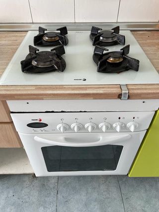 Vitrocerámica de fuego y horno FAGOR de segunda mano por 80 EUR en Elche en  WALLAPOP
