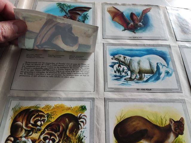 Lote de 2 álbumes VIDA Y COLOR de 1965 y 1969