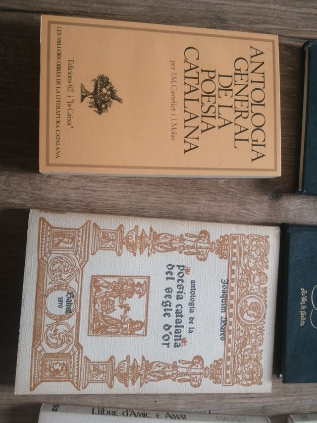 Libri in lingue iberiche o in lingue iberiche