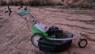 Desbrozadora VIKING MN 6 RH de segunda mano por 890 EUR en Ontinyent en  WALLAPOP