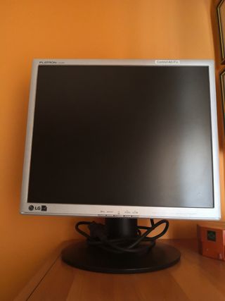 Monitor. Pantalla LG 19\