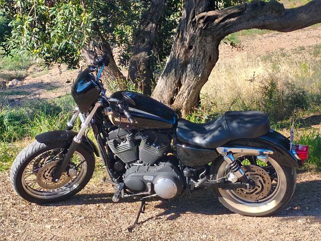 HD Sportster XL 1200R Roadster.
