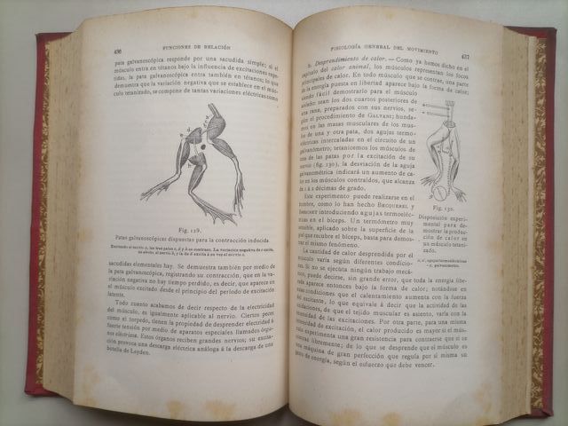 Compendio de Fisiologia por Hédon (año 1905)