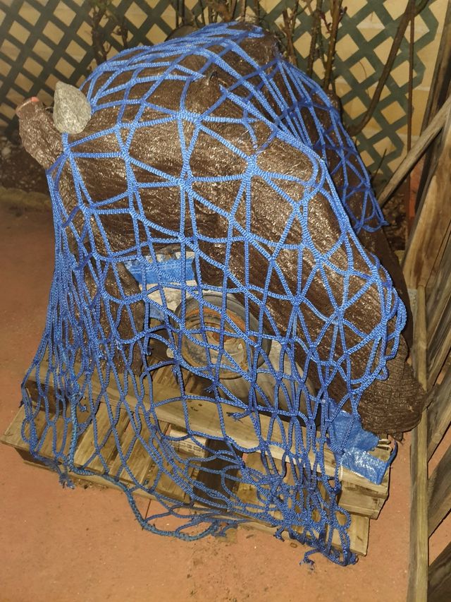 Motor roto Mercedes-Benz Vito