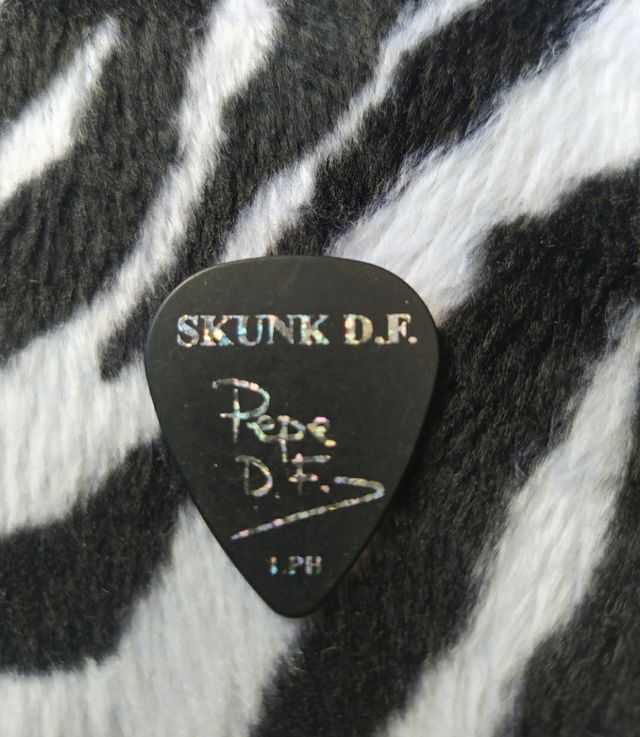 PUA DE GUITARRA DEL GRUPO SKUNK D.F.