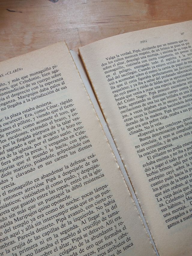 Libro Alas Clarin Una novela ocho cuentos