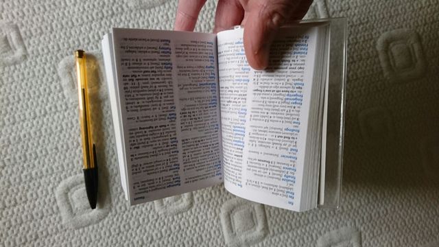 Mini Diccionario de Inglés