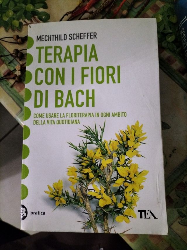 terapia con i fiori di Bach