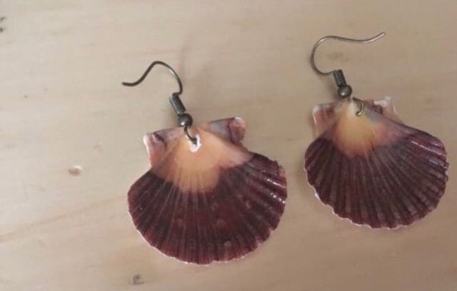 Pendientes de concha 