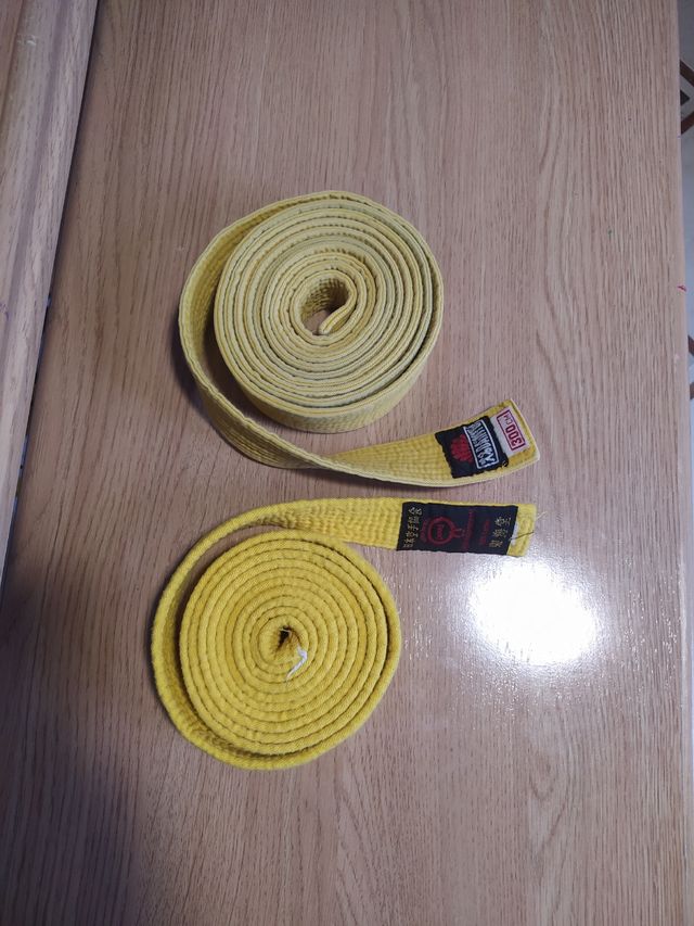 cinturones de kárate, Kung Fu, yudo, taekwondo etc