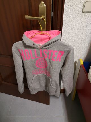 Sudadera Hollister gris y rosa con capucha de segunda mano por 5 EUR en  Madrid en WALLAPOP