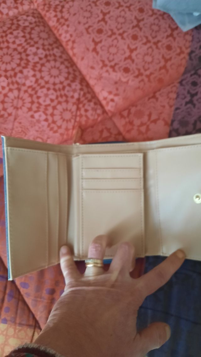 Cotton Belt portafoglio