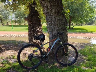 Bicicleta NTT de 29\